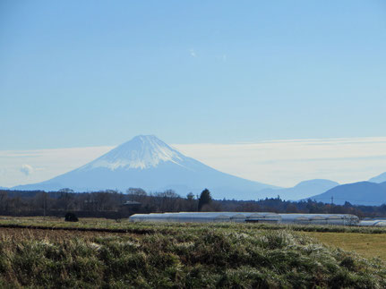 20181125　エコーライン近く　富士山を望む