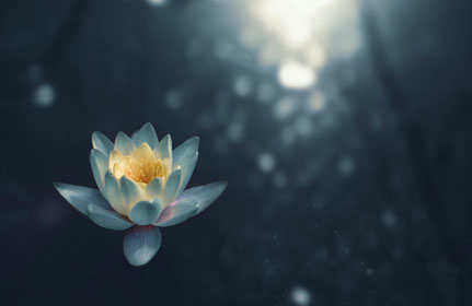 Eine Oase der Ruhe in Zürich: Meditation in Motion, Studio in Zürich Oerlikon