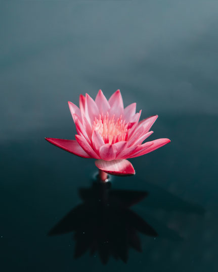 Meditation in Motion. Einfache geführte Meditation für Anfänger, Meditationstipps, Entspannung, Achtsamkeit, Meditation Online-Kurs, Meditationskurs in Zürich Oerlikon. Meditationsausbildung und Meditationslehrer Ausbildung in Zürich Oerlikon.