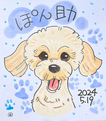 佐々木知子