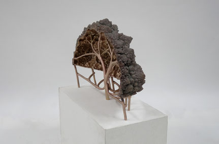 Fibonesco  2015  Bronze  60x40x25cm 