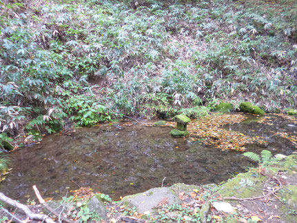 樋知御種池の湧水