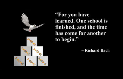 “For you have learned. One school is finished, and the time has come for another to begin.” – Richard Bach