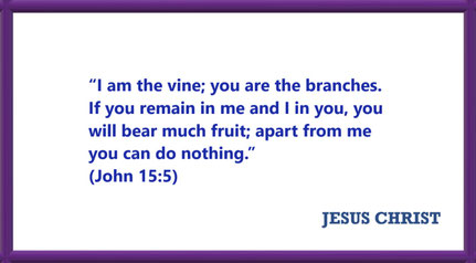I AM Quotes from JESUS: I am the vine - John 15:5: “I am the vine; you are the branches. If you remain in me and I in you, you will bear much fruit; apart from me you can do nothing.”