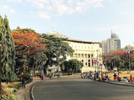 Flowering Flame Trees, the National Museum of Natural History and People at Rizal Park