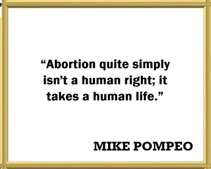 Mike Pompeo on Abortion as Taking Human Life: Quote - “Abortion quite simply isn't a human right; it takes a human life.”