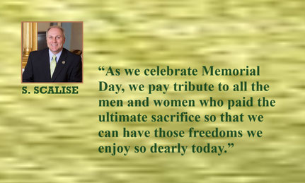 Memorial Day Quote from S. Scalise
