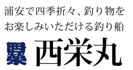 浦安で四季折々、釣り物をお楽しみ頂ける釣り船西栄丸