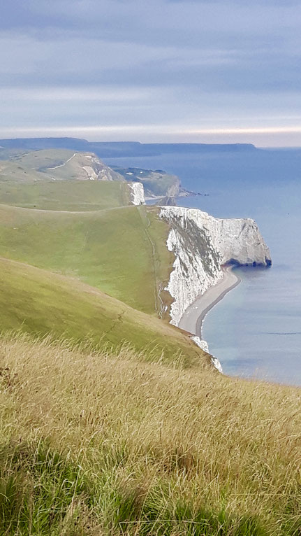 Wiese mit Küstenpfad und Meer im Hintergrund