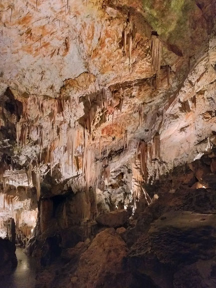 Postojna Höhle 