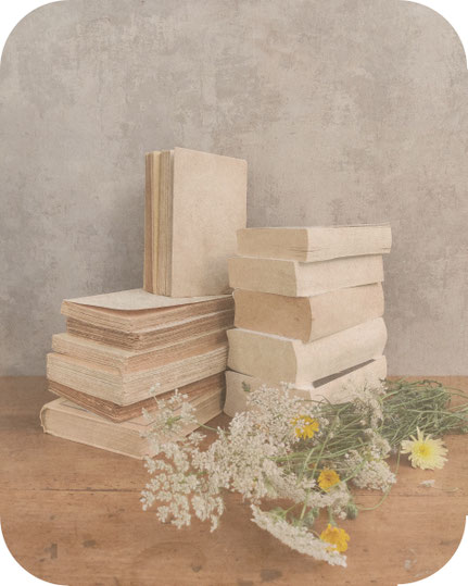 livre gabrielle dubois, roman book, paperback