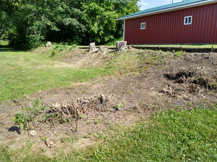 Trees Shrubs Rails to Trails Neillsville Trailhead Opelt Project