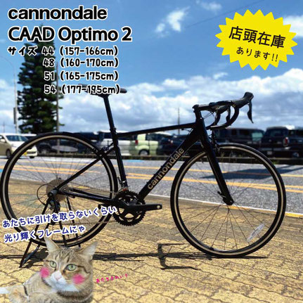 Cannondale　CAAD Optimo2（キャノンデール）ロードバイク
