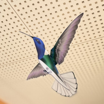 ハチドリ - Paper Nature（ペーパーネーチャー）