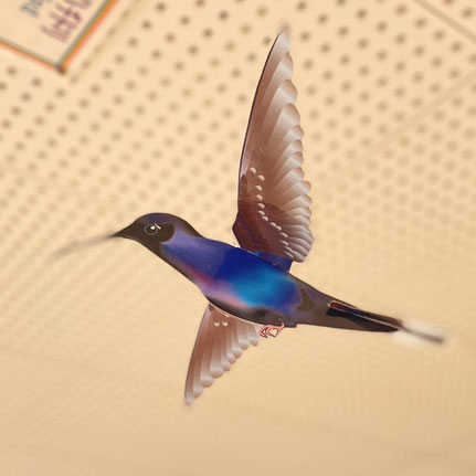 ハチドリ - Paper Nature（ペーパーネーチャー）