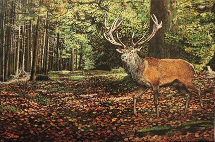 Rothirsch im Wald 40 x 60