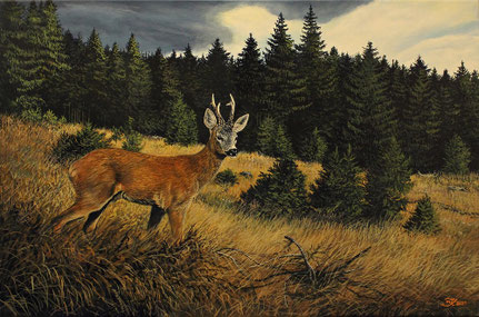 Rehbock auf Waldwiese 40 x 60    