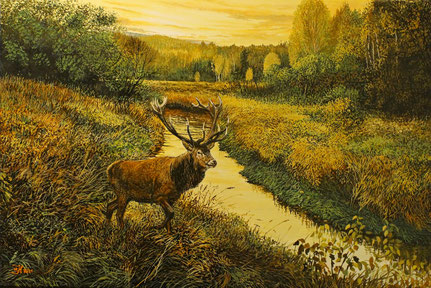 Rothirsch am Kanal 40 x 60  