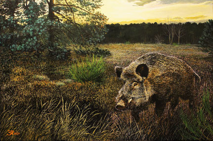 Keiler auf der Heide 40 x 60   