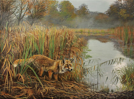 Unterwegs im Schilf 30 x 40  verkauft
