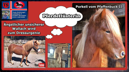 Link führt direkt zu Video bei YouTube