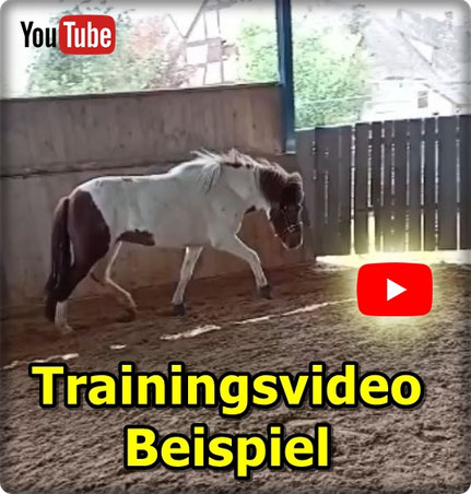 Link führt direkt zu Video bei YouTube
