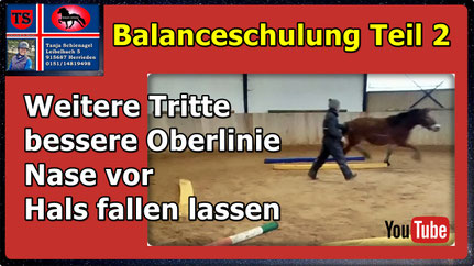 Link führt direkt zu Video bei YouTube