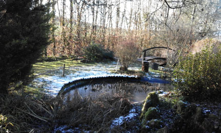 jardin japonais sous le givre