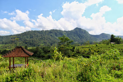 typische Landschaft in Nordbali
