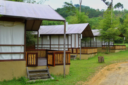 Die halboffenen Bungalows