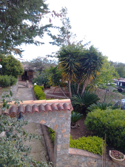 Garden with children's swing