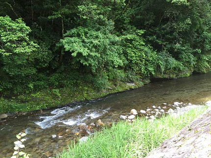 ウィズプラス みやざきプール情報 Withplus Miyazaki