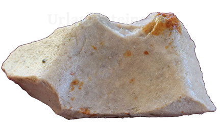 Kalkstein, Bruchstein, ausgegraben aus dem märkischen Sand.