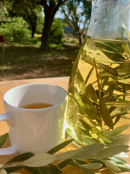 weisse Tasse mit Tee neben einem Glaskrug voller Olivenblätter im Sonnenschein