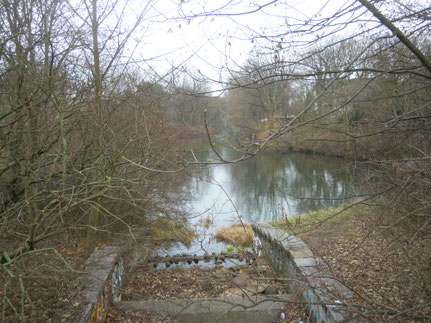 Die Wuhleblase