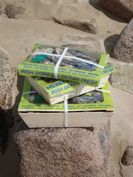 Stack of Irish Donegal oysters in 3 different size boxes on a rock