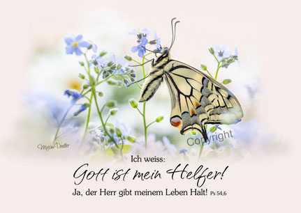Mirjam Dentler, christliche Karten, Schwalbenschwanz Vergissmeinnicht Psalm 54,6
