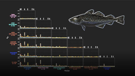 Population genomic inference from low-coverage whole-genome sequencing data  - physalia-courses