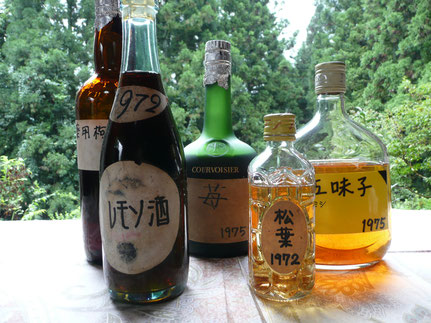 薬酒・果実酒全科 本草酒のつくり方と効用/家の光協会/