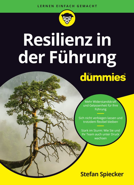 Fachbuch Resilienz in der Führung für Dummies