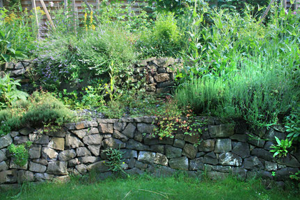 Naturnaher Garten in Kriens
