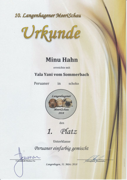 1. Platz Peruaner einfarbig gemischt