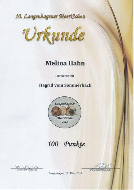Liebhaber-Kindertierbewertung