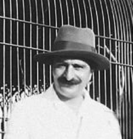 Cropped image