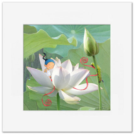Illustration de Timeliotdans une fleur de lotus. Il regarde une chenille
