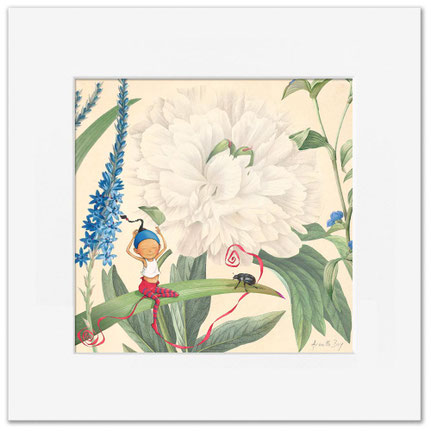 Illustration de Timeliot sur une feuille devant une belle pivoine blanche. Un coléoptère s'approche de lui.