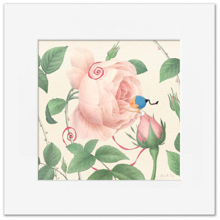 Timeliot est dans un bourgeon et respire une belle rose