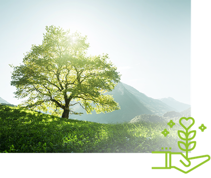 Grüner Baum vor einer Gebirgslandschaft.