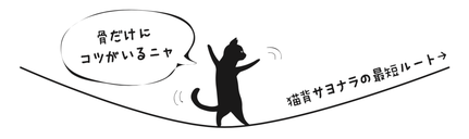 猫背は骨で立つと簡単にサヨナラできる