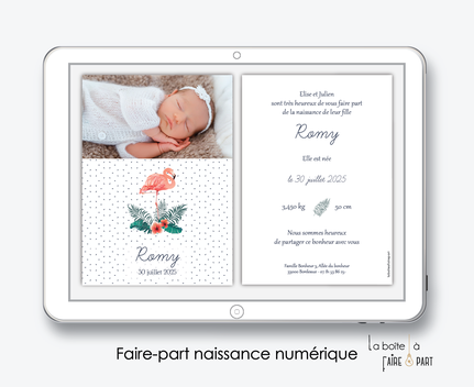 faire-part naissance numérique-faire part électronique-faire part numérique-imprimable-pdf numérique-faire part connecté-faire-part à envoyer par sms-mms-par mail-réseaux sociaux-whatsapp-facebook-flamant rose-hibiscus-palmier-tropical-exotique